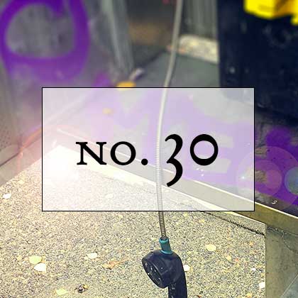 No. 30: on pretending that